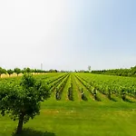 Casa di campagna Albafiorita Latisana