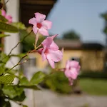 Albafiorita * Latisana