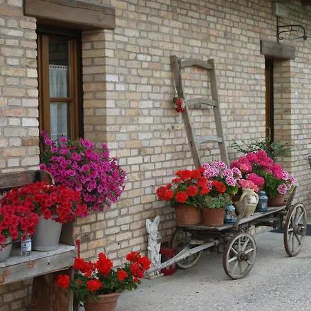 Albafiorita Hétvégi ház