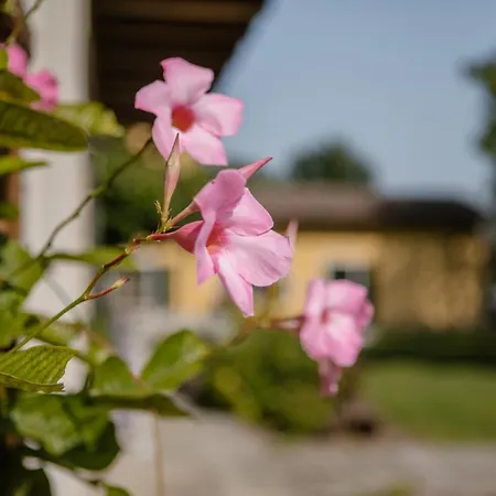Albafiorita * Latisana