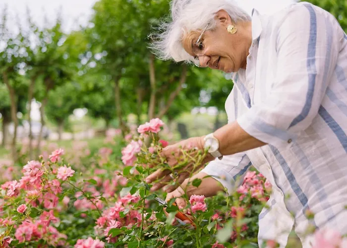 Εξοχικό σπίτι Albafiorita *