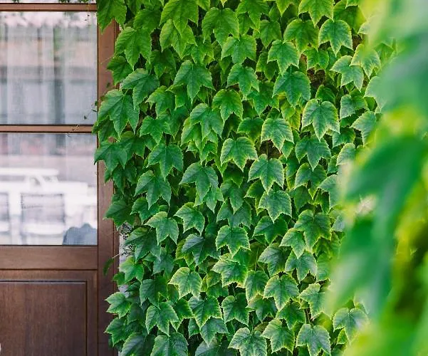 Εξοχικό σπίτι Albafiorita *