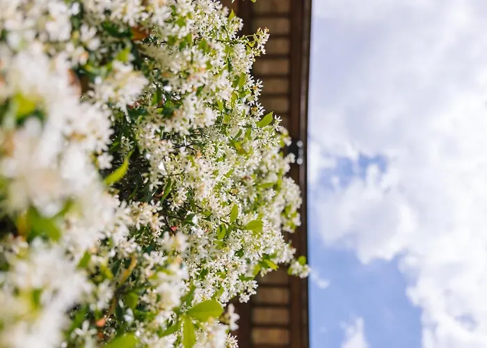Εξοχικό σπίτι Albafiorita *