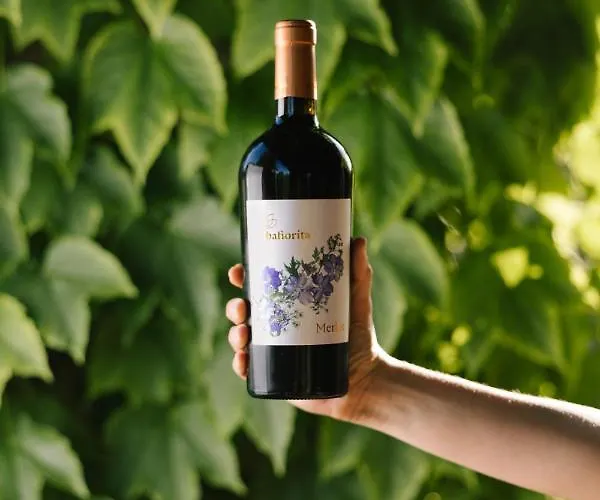 Εξοχικό σπίτι Albafiorita