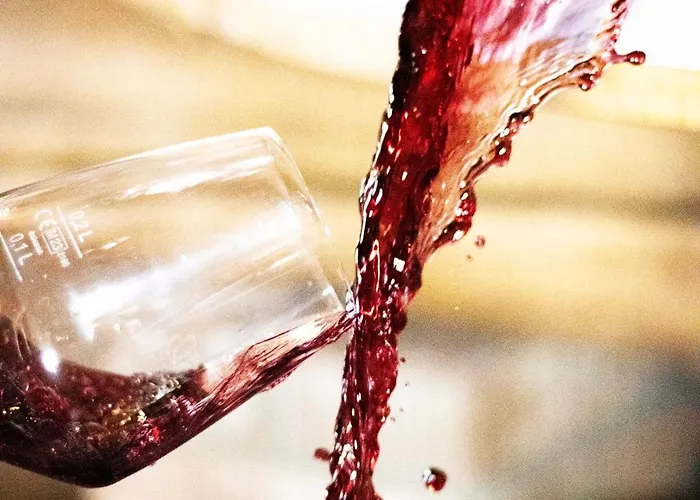 Εξοχικό σπίτι Albafiorita