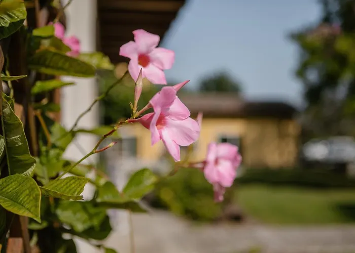 Albafiorita * Latisana